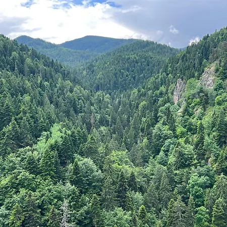 Arboro Gardens E68 公寓 波罗维茨