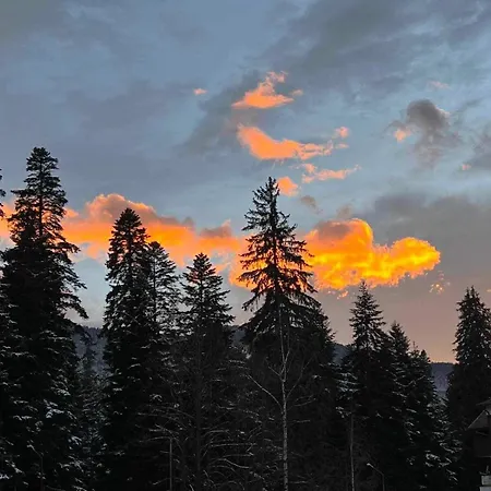 Arboro Gardens E68 *