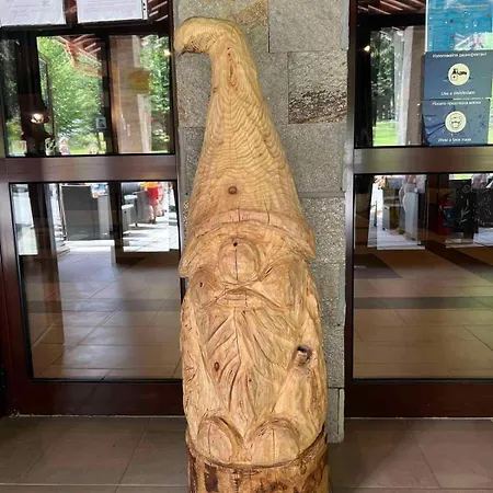 Arboro Gardens E68 公寓 波罗维茨