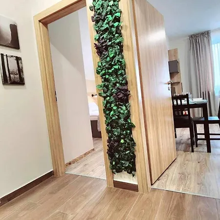 Arboro Gardens E68 Μπόροβετς