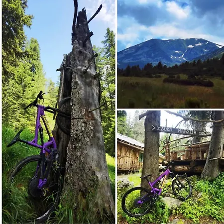 Arboro Gardens E68 公寓