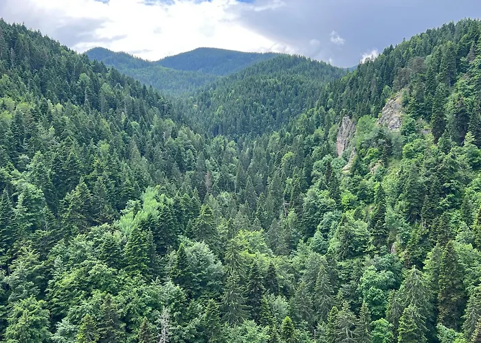 Arboro Gardens E68 Apartament Borowec