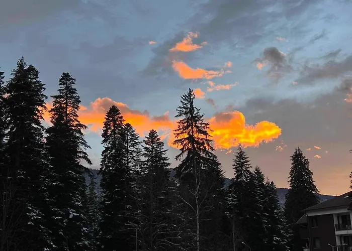 Arboro Gardens E68 *