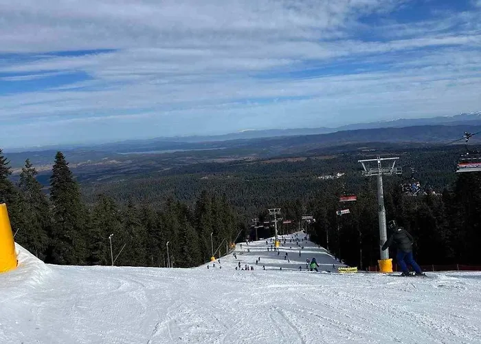 Apartament Arboro Gardens E68 Borowec