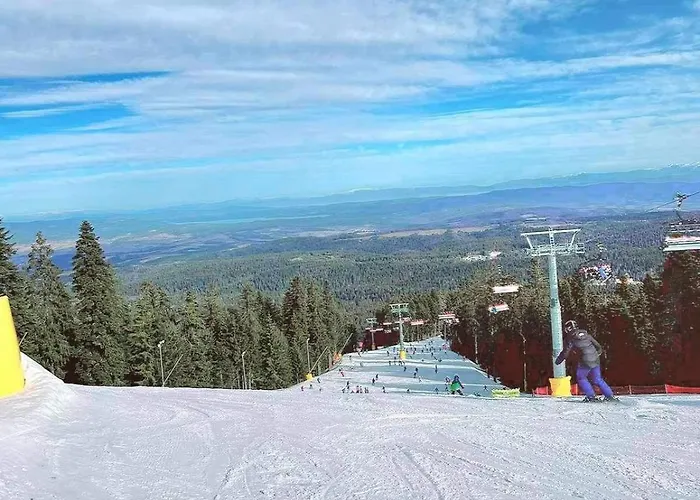 Arboro Gardens E68 Borowec