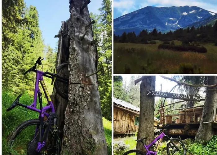 Arboro Gardens E68 Apartament